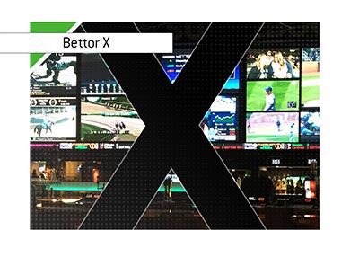 How 'Bettor X' made it a wild World Series in Las Vegas.